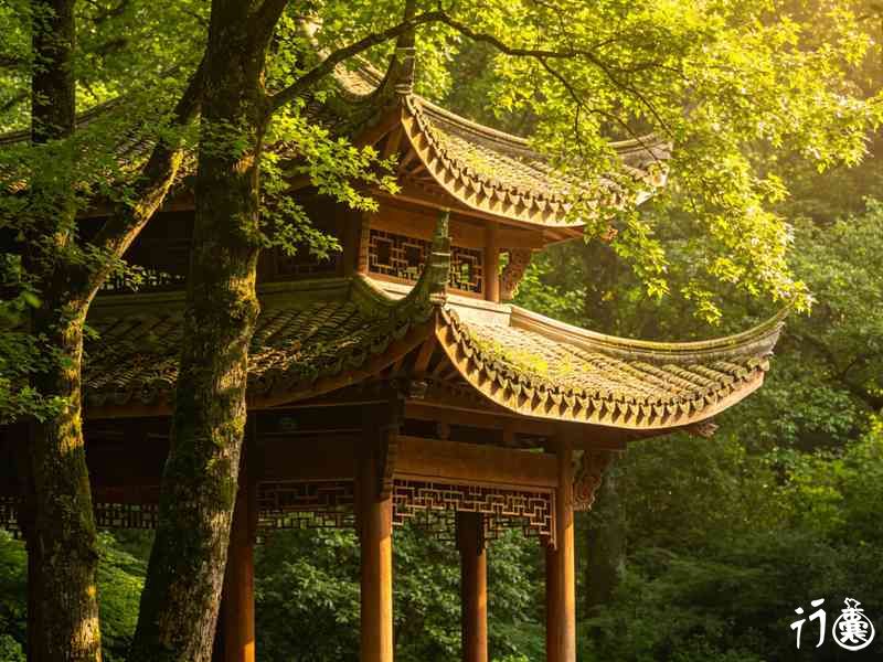 杭州九溪烟树：藏在群山里的龙井品茶圣地