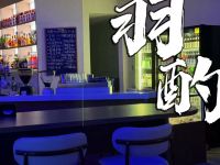 羽酌