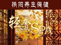 扬阳养生保健
