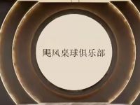 飓风桌球俱乐部