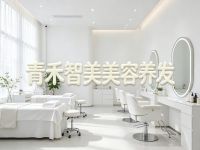 青禾智美美容养发