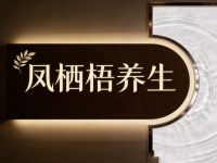 凤栖梧·养生