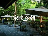 宋映今朝