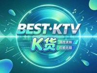 BEST·KTV K货